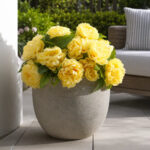 Faux Yellow Peony Bush Outdoor Urn Filler Spring Summer Arrangement - Available in 2 Sizes
